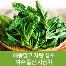 산지직송 해풍에 자란 섬초 여수 돌산 시금치 4kg
