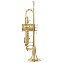 트럼펫 색소폰 케이스 악기가방 미국 바흐 lt180s-37 골드 구리 실버 도금 원래, 금