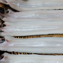 통영 당일조업 가리비굴 장어구이찜 키조개구이세트 외, 1개, 반건조장어(대)5미,장어소스1개