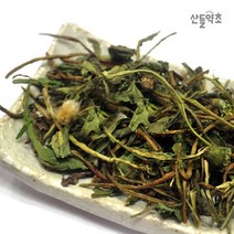 국내산 건조 포공영 말린 (흰)민들레 300g, 국산 민들레(포공영) 600g