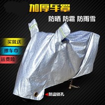 방수 전동 비막이커버 사계절 전차 차량 덮개 차양 이천 자전거커버, T02-M, C02-바이올렛