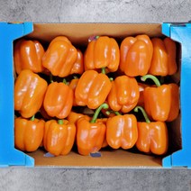 주황 파프리카 1kg