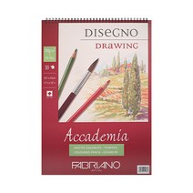 파브리아노 아카데미아 스프링 AP01 A5 200g, 30개