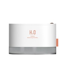 하이온 G14 무선 휴대용 미니 가습기 1000ML, 화이트