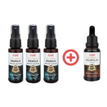 하이웰 프리미엄 프로폴리스 목 스프레이 3+1 세트, 본품+사은품, 단품