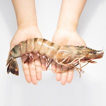자연산 킹 블랙타이거새우 씨타이거 (14~15미)700g, 700g(14~15미)X2팩