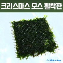 미미네플랜츠 크리스마스 모스 활착판 (8x8cm), 단품