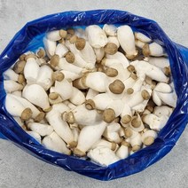 산정마을 국내산 미니 새송이버섯 2kg, 단품