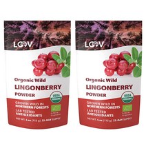 LOOV 루브 유기농 와일드 링곤베리 파우더 113g 2팩