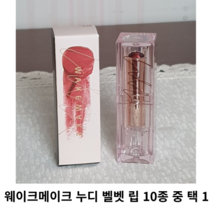 웨이크메이크 누디 벨벳 립 10종 중 택 1 / 웨이크메이크립스틱 웨이크메이크벨벳립스틱 벨벳립스틱, 04 고고코랄