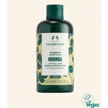 더바디샵 모링가 샴푸 250ML SHAMPOO MORINGA, 모링가샴푸