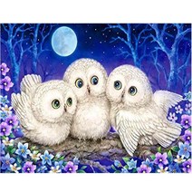 JISAN 보석십자수 캔버스형 세트 50x40cm JB01, 부엉이 삼형제