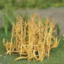 동아측기 포레스 디오라마 나무모형 모형나무, 옥수수 옐로 5.5~6cm 5p
