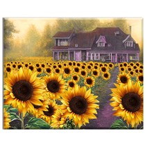 FASEN diy보석십자수 캔버스 형액자 세트 40cm x 50cm, AYW-168