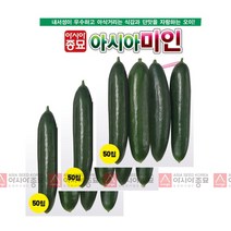 아시아종묘 오이종자씨앗 아시아미인오이 (50립 50립x3), 50립x3개