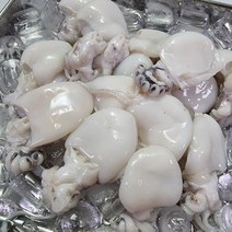 베이비 갑오징어 1200g(200gX 6팩) /완전손질 급냉