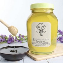 스마일벌꿀 허니벌꿀 2.4kg