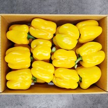 노랑 파프리카 1kg