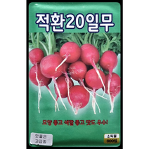 적환20일무 600립/모양 좋고 색깔 좋고 맛도 우수한 적환무 씨앗