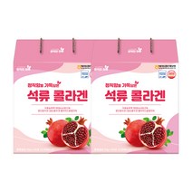 정직한 하루 진짜 석류를 가득 넣은 석류 콜라겐 젤리스틱, 2개, 1200g