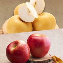 사과배혼합실속세트 15kg 나주배 5kg + 함양꿀부사 10kg, 없음
