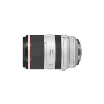 캐논 RF 70-200mm F2.8 L IS USM 카메라렌즈 (후드/케이스 포함) /빅보스