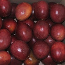 백향과 1KG 국내산 패션후르츠 생과 산지재배, 1개, 백향과 비품 1kg(15과이상)