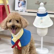 강아지 명절 한복 케이프 애견 추석빔 설 선물 대형견 고양이 맞춤 사이즈, 기타(메시지 주세요!)