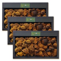 셀러허브 식품 [송일품] 말린 상황 차가 버섯 건재 선물용 350g 3개, 송일품약용버섯의 명품 상황 차가 버섯