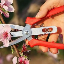 정원관리 양날가위 쌍날 솎아내기 가드닝 전원 꽃정리