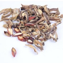 국산 100% 유기농 작두콩차 비염에좋은차, 100g