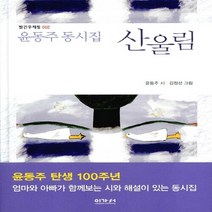 NSB9788958643173 새책-스테이책터 [윤동주 동시집 산울림] --빨간우체통 2-이가서-윤동주 지음 김점선 그림 박해석 엮음-동시/동요-20, 윤동주 동시집 산울림