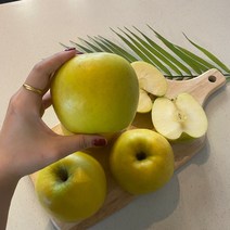 시나오스위트 황금사과 시나노골드사과 홍로 경북 3kg 5kg, 1개, 정품 5kg(꼬마과25~28개)