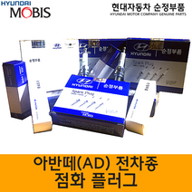 아반떼스포츠 순정점화플러그/1884610060/아반떼LPI스파크플러그/아반떼AD/1885808090(1885508060/1885408080)/1886709095/1884908080, 18867 09095