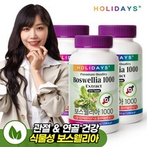 홀리데이즈 대용량 관절/연골 건강 보스웰리아 1000 x 3병 (총630정), 630정, 기타