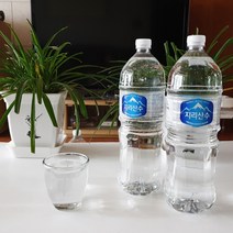2L 500ml 천연 알카리수 미네랄워터 생수 먹는샘물 천연암반수 물, 지리산수 2L x 12병 : 1박스