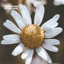 프랑스와즈 캐모마일저먼블루 플로럴워터, 1L