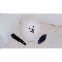 강아지 털갈이 빗 소형견 말티즈 포메 푸들 엉킨털 죽은털 제거 엘아미고 브러쉬 모음, 단품, 코랄슬리커