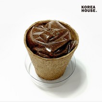 봉선화 키우기 세트 어린이 식물 기르기 체험키트