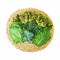 [오창농협] 친환경 쌈채 200g x 2봉, 단품