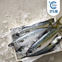 [온도씨]제주 고등어 3kg (중21팩팩당150g내외), 단품