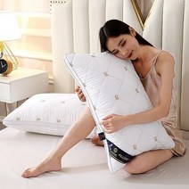 조선호텔베개 마이크로화이바 호텔 침대 및 아침 식사 코어 베개 머리 가정 학생 기숙사 침구 낮은, Classic White Embro+Low pillow, Classic White Embro+Low pillow