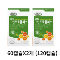 광동 그린프로폴리스, 2개, 120정, 60정