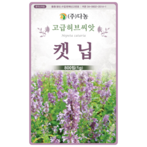 갑조네 캣닙(씨앗) 캣닢 캣잎 개박하 캣그라스 고양이풀, 1개