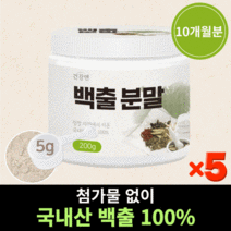 국산 백출 분말 가루 삽주뿌리 창출 삽주가루 삽주분말, 200g x 5개