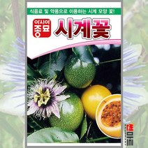 시계꽃 10립 / 패션푸르츠 다년생 꽃씨 씨앗 화단 정원 꽃밭