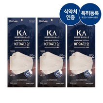 [양심판매] 식약처인증 여름용 국내생산 KF94 마스크 10매, KF94덴탈마스크10매