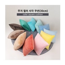 토이웍스 무지컬러 사각쿠션 쇼파쿠션 30cmx30cm 11종, 스카이블루