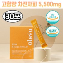 차전자피 환 가르시니아 차전초 차전자 질경이씨앗 5500mg 30포 푸룬농축분말 장비우기 임산부 먹기편한 작은크기 귀리 식이섬유 수용성 장청소 분말 변이딱딱 질경이, 1개, 5.5g