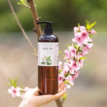 어성초 두피 진정 샴푸 유안재 500ml, 1개
